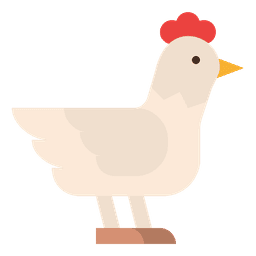 Meat, Poultry & Offal