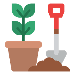 Indoor Plants