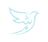 language